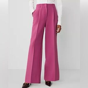 NWOT Ann Taylor High Rise Pleated Plush Mauve Wide Leg Pants